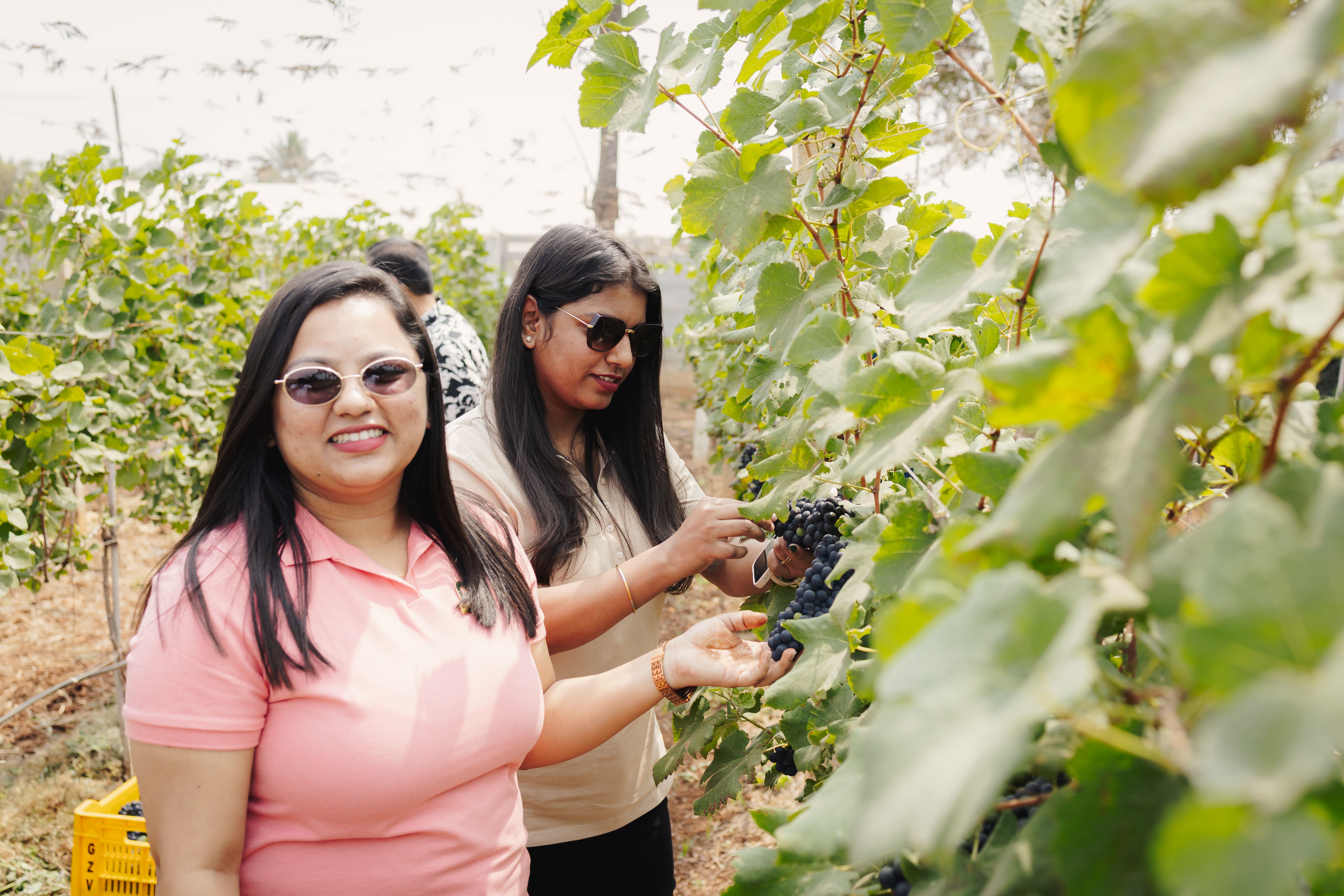 Vineyard Community