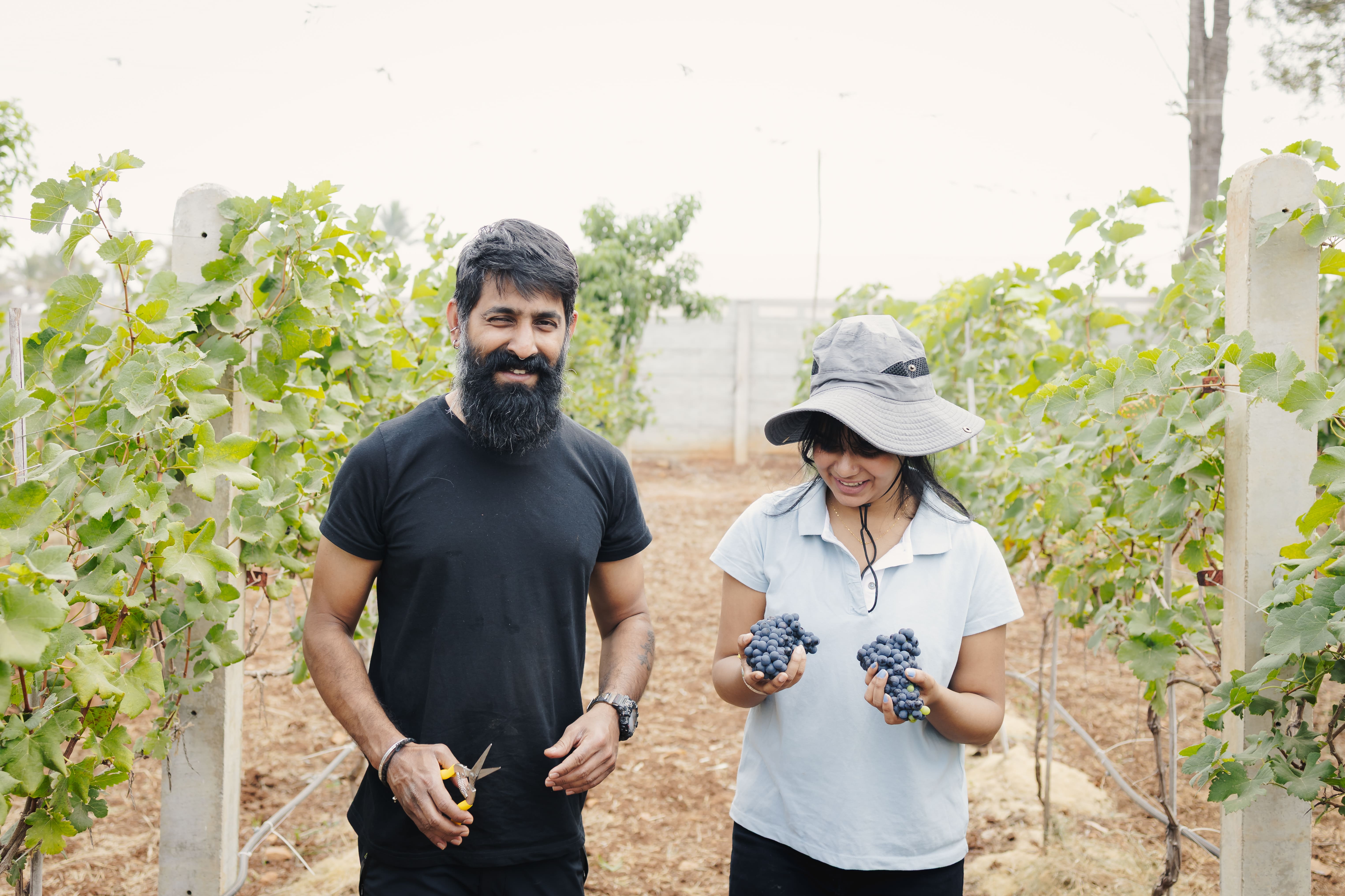 Vineyard Community
