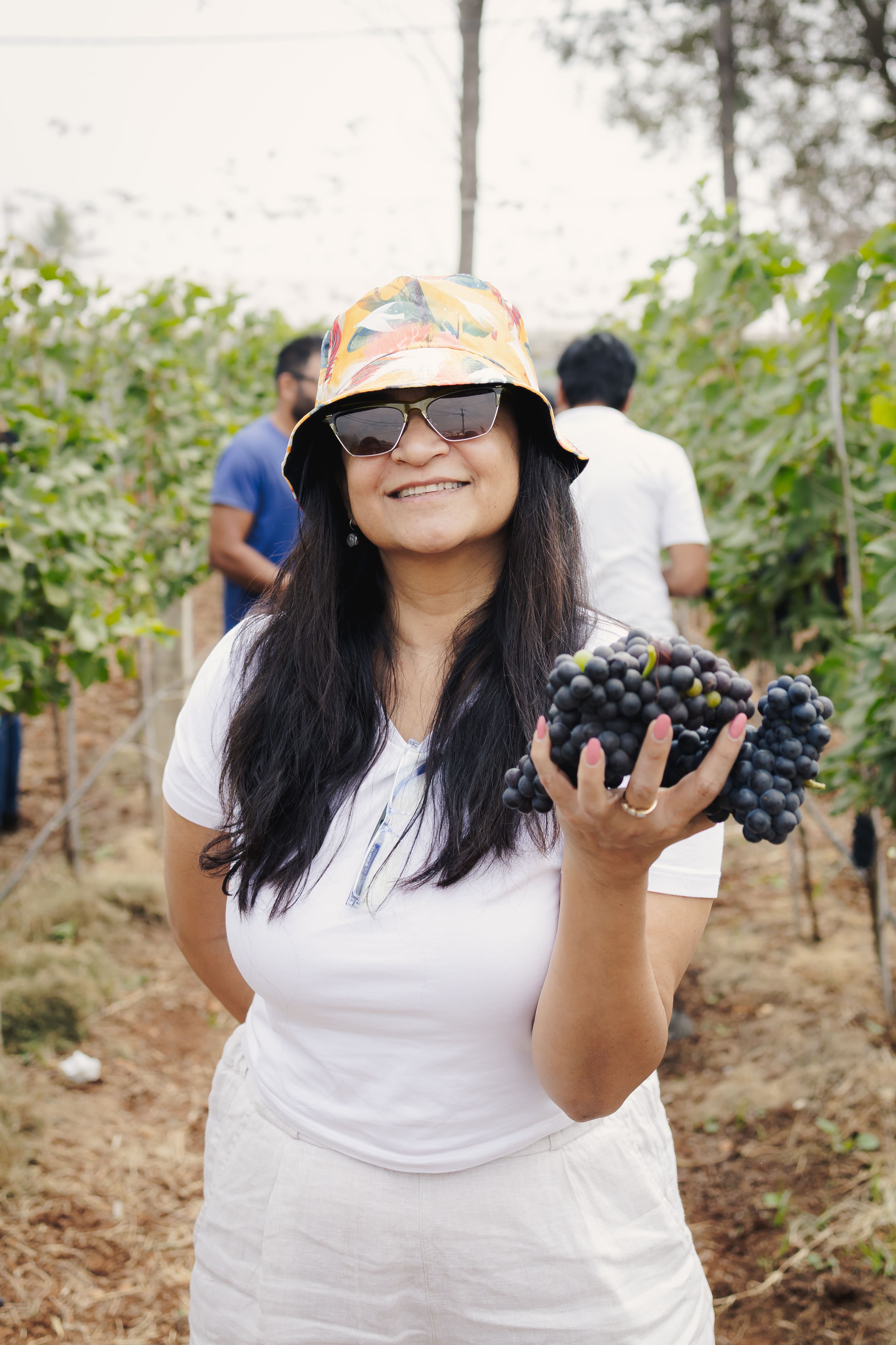 Vineyard Community