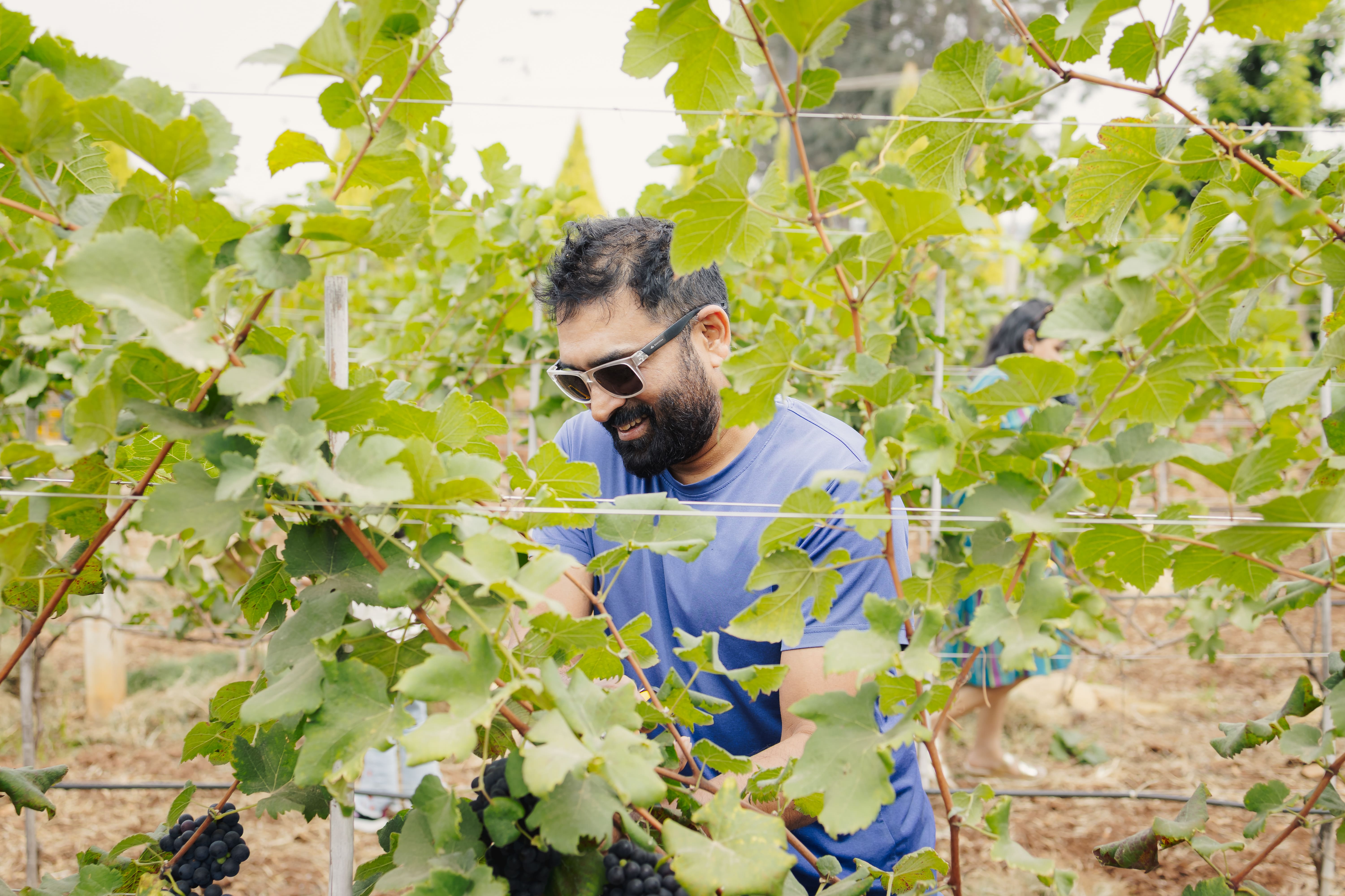 Vineyard Community
