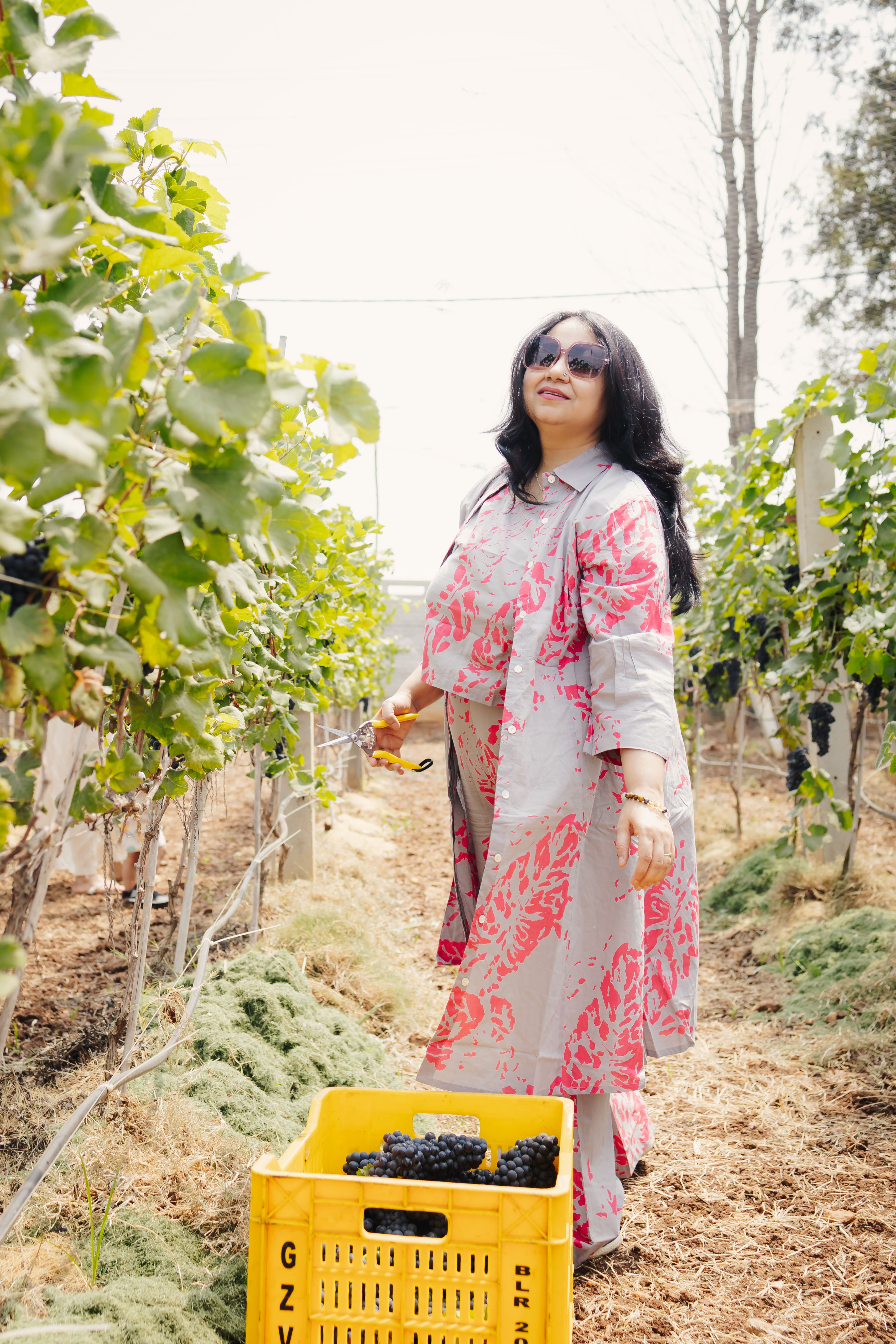 Vineyard Community
