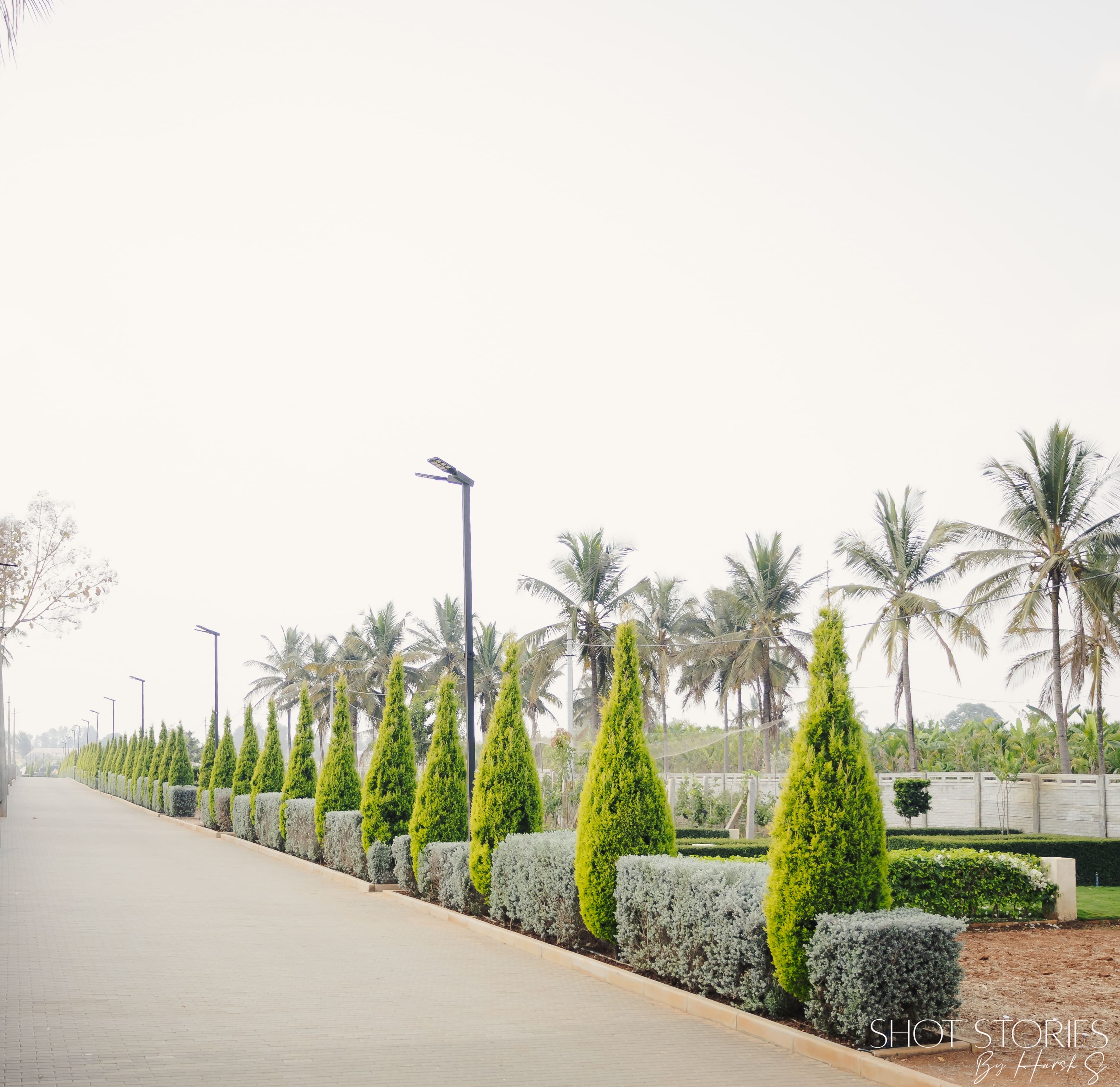 Vineyard Community