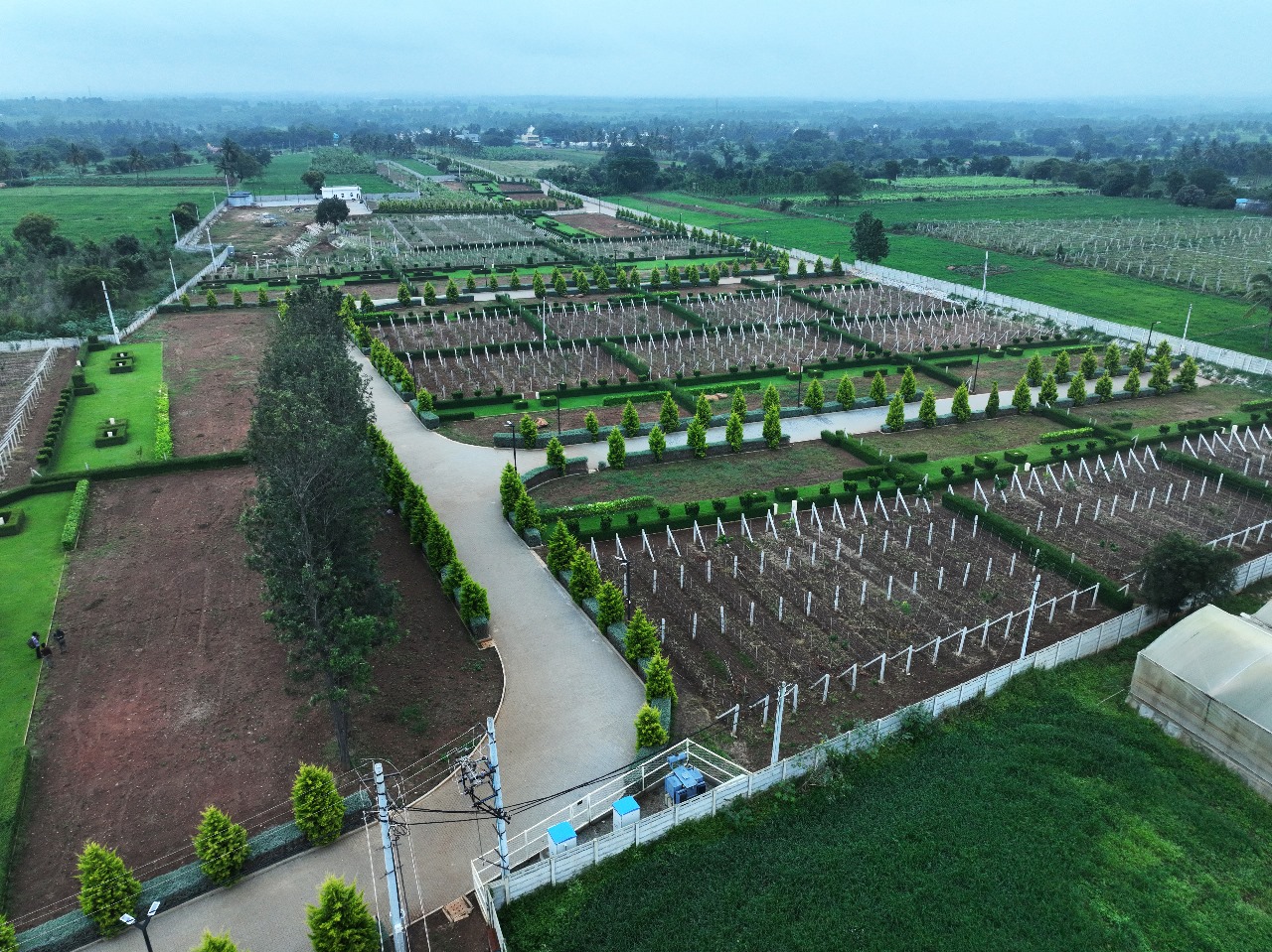 The Vineyard Community